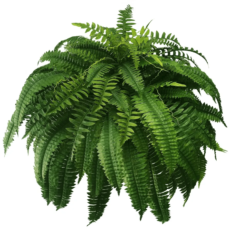 Last Day 75% OFF--UV Resistant Lifelike Artificial Boston Fern💯