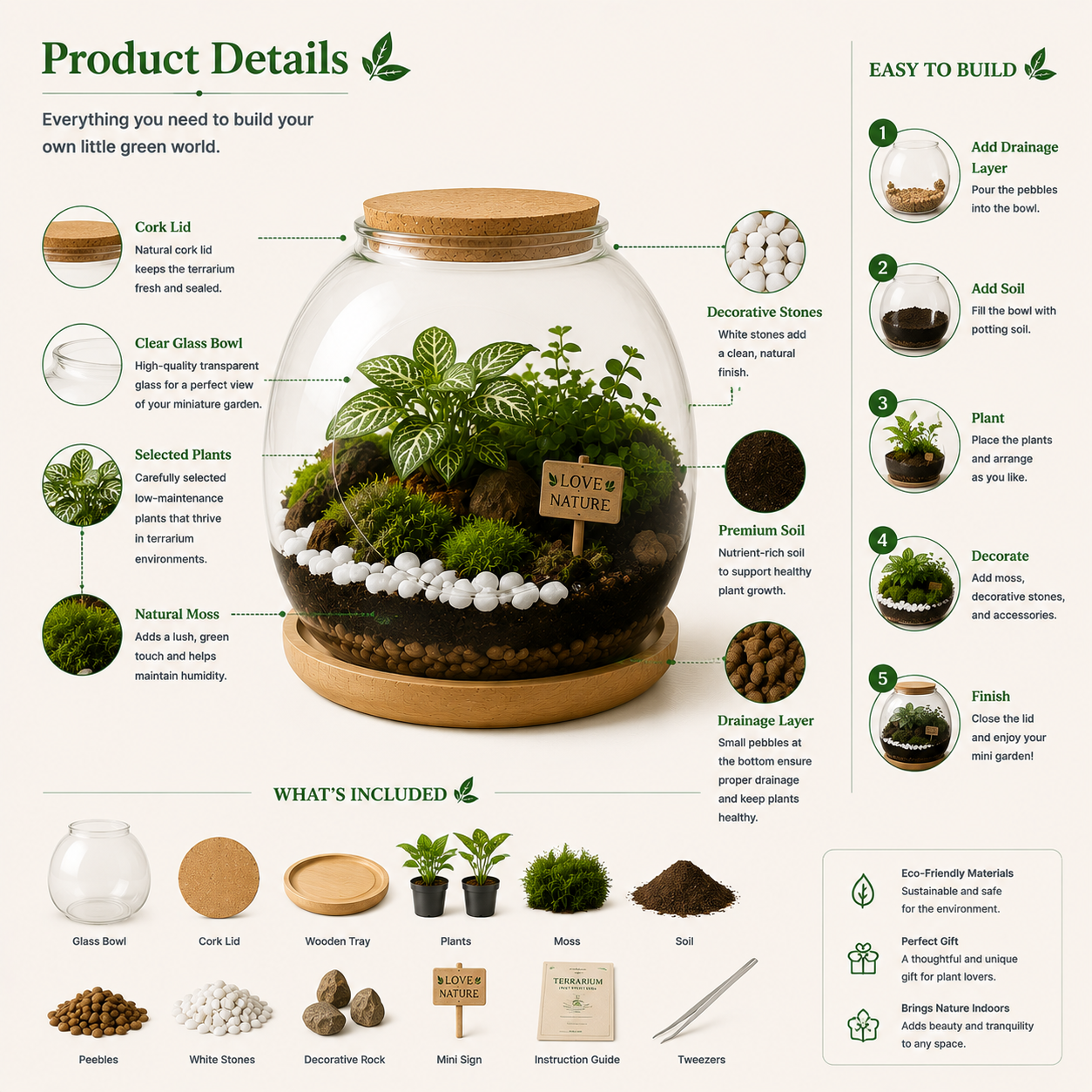 Eco DIY Terrarium