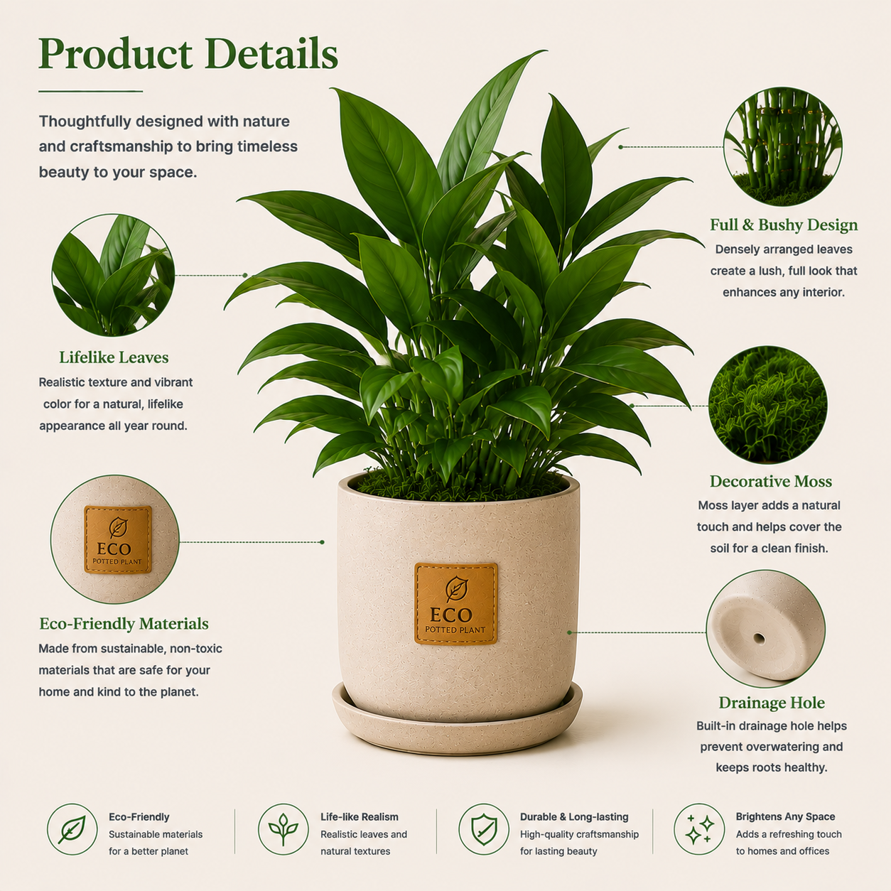 Eco Potted Plant
