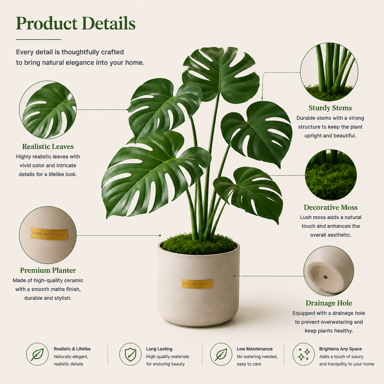 Luxe Monstera