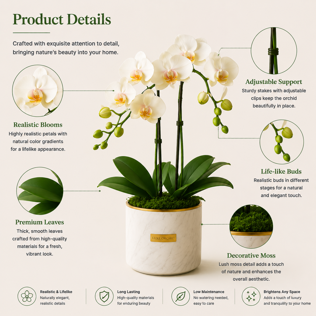 Luxe Orchid