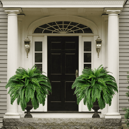 Last Day 75% OFF--UV Resistant Lifelike Artificial Boston Fern💯