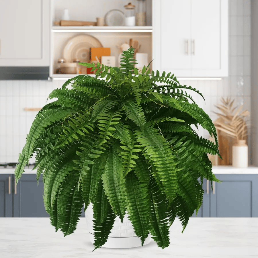 Last Day 75% OFF--UV Resistant Lifelike Artificial Boston Fern💯