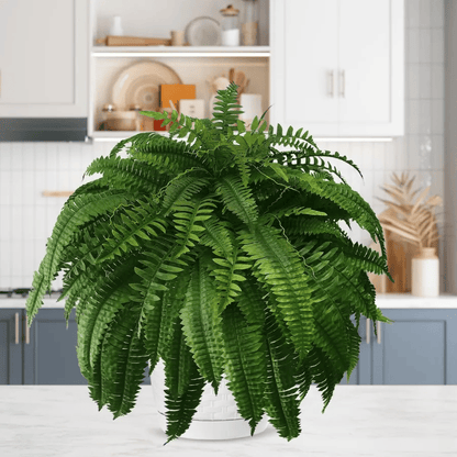 Last Day 75% OFF--UV Resistant Lifelike Artificial Boston Fern💯