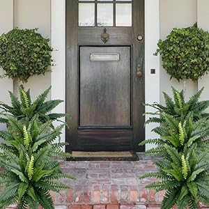 Last Day 75% OFF--UV Resistant Lifelike Artificial Boston Fern💯