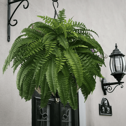 Last Day 75% OFF--UV Resistant Lifelike Artificial Boston Fern💯
