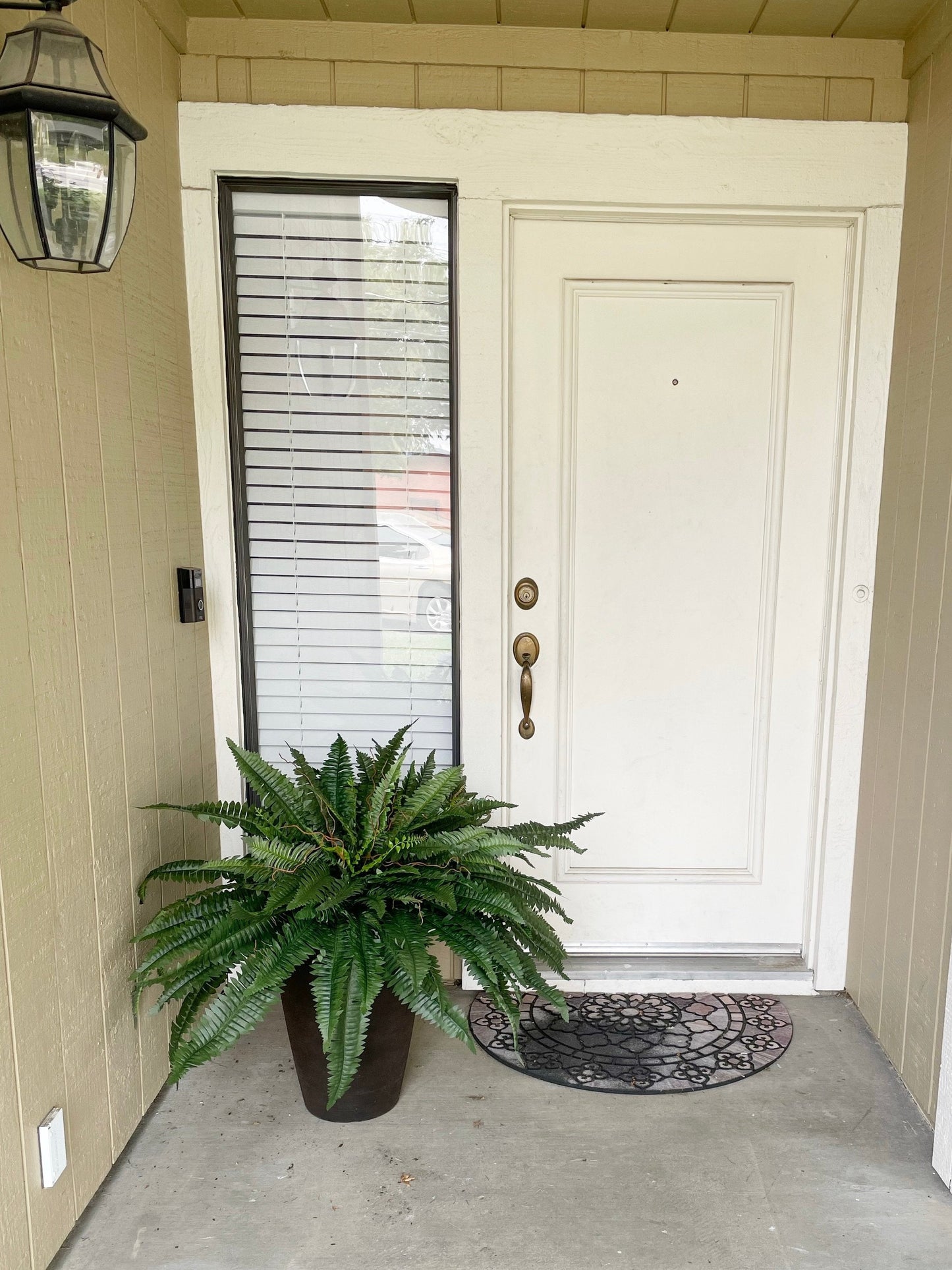 Last Day 75% OFF--UV Resistant Lifelike Artificial Boston Fern💯