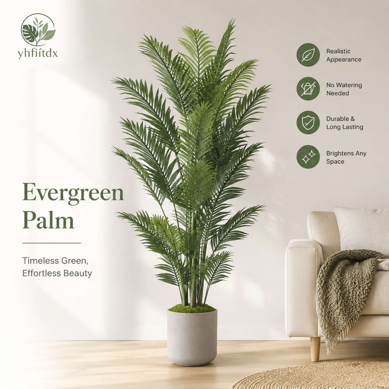 Evergreen Palm