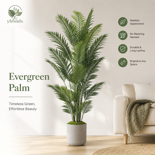 Evergreen Palm