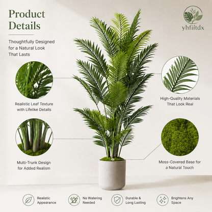 Evergreen Palm