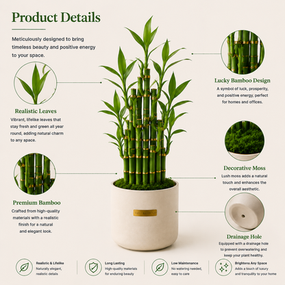 Luxe Bamboo