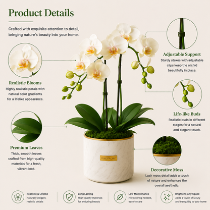 Luxe Orchid