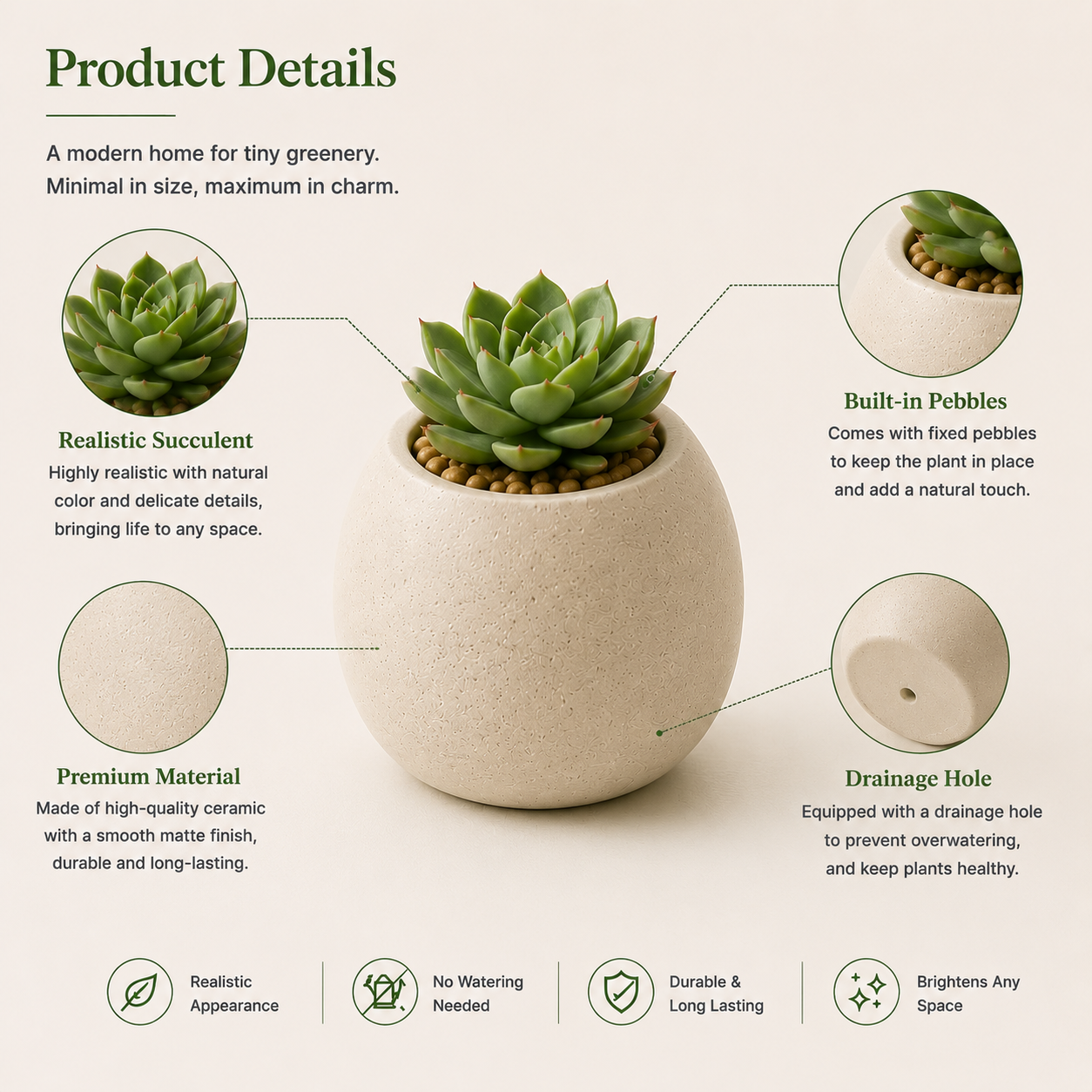 Mini Succulent Pod